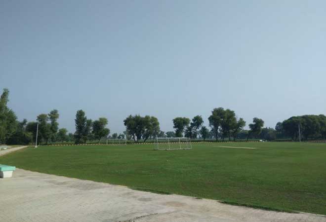 almoiz sports